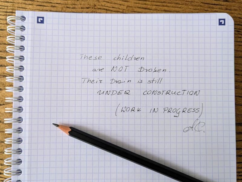 100 Life Lessons - Teenagers are the adults under construction